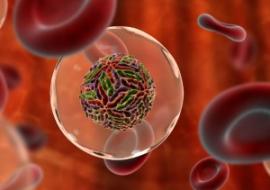 Как выявить наличие ВГС в крови при клинических обследованиях