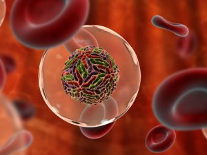 Как выявить наличие ВГС в крови при клинических обследованиях
